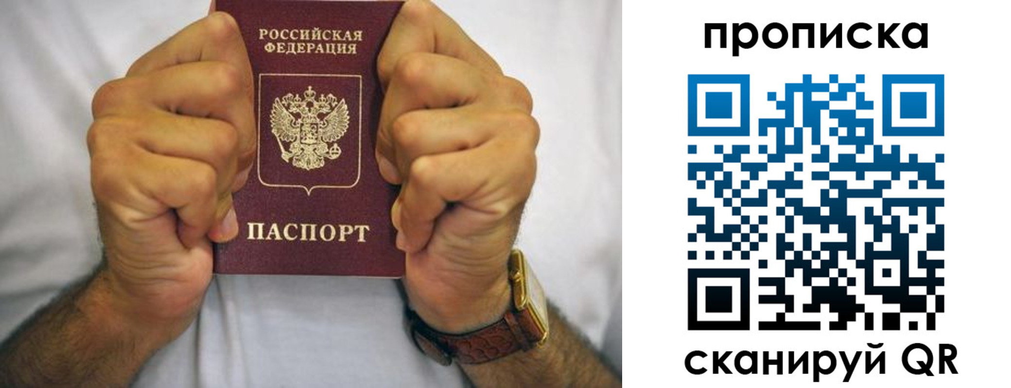 прописка в Краснодаре